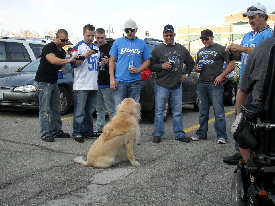 detroit lions, lions, detroit, nfl, no fans, rod wood, football