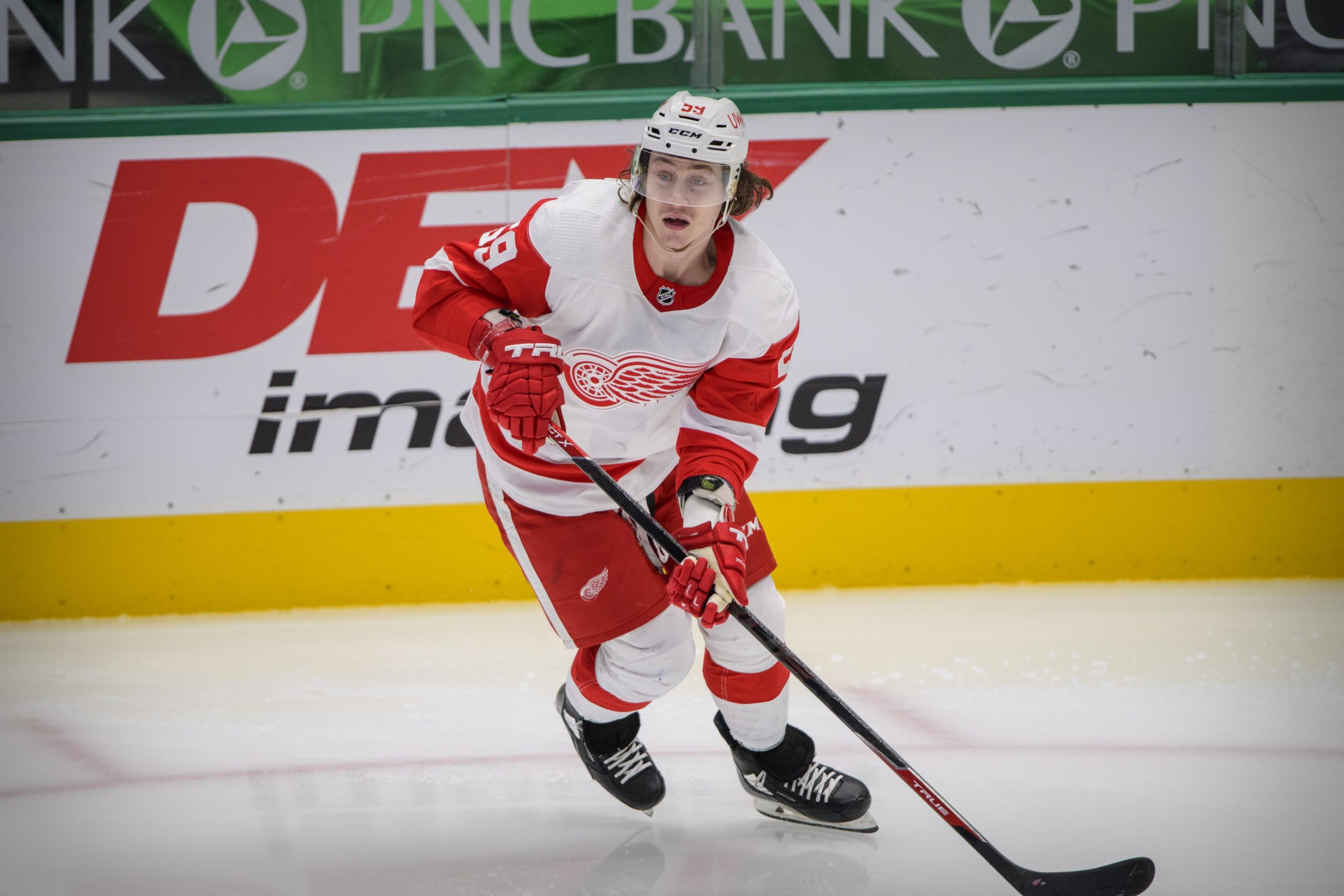 Tyler Bertuzzi