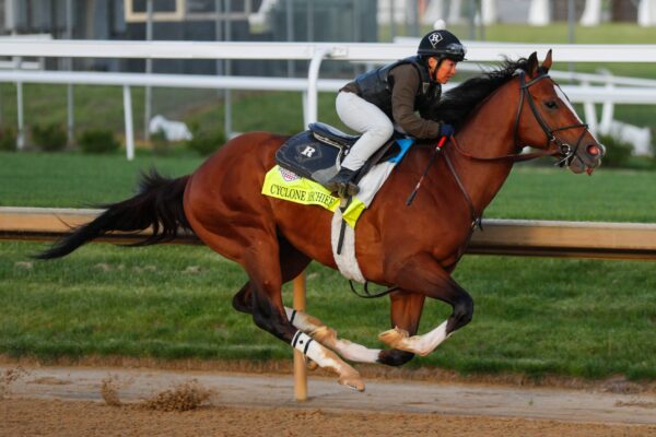 Churchill Downs investigates 4 horse deaths ahead of Derby