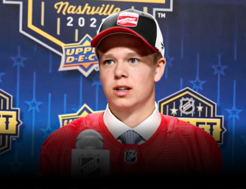 A Tale of Brothers: Red Wings’ Noah Dower Nilsson’s Unbelievable Draft Experience